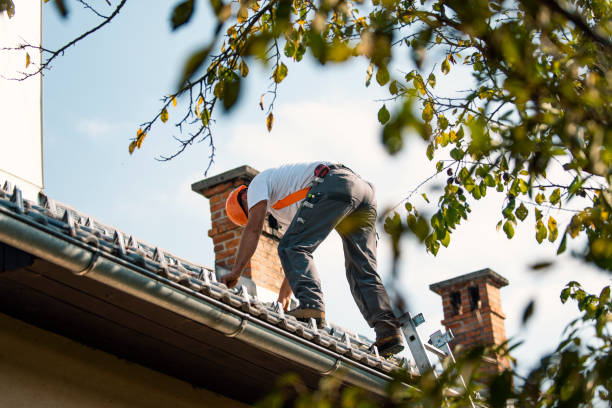 Best Flat Roof Repair Services  in Centuria, WI